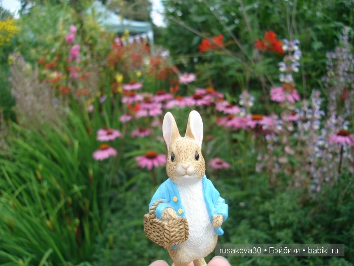 Кролик Питер путешествует (продолжение)