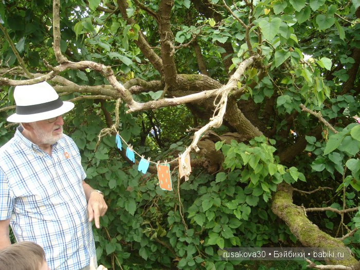 Кролик Питер путешествует (продолжение)