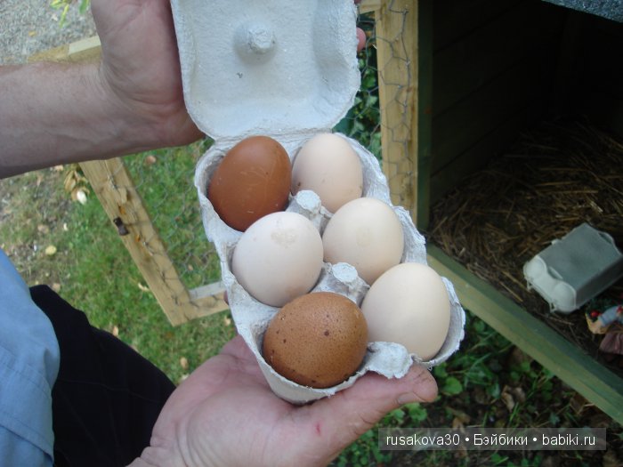 Поездки с куклами — Туризм и путешествия: фотоотчеты из поездок