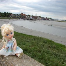 Поездки с куклами .