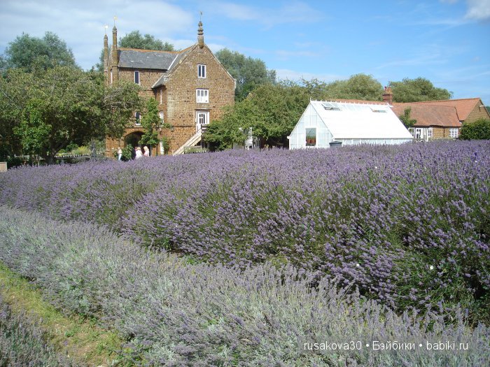 Лавандавая сказка — Советские винтажные куклы (СССР): Ленигрушка (фото 2)