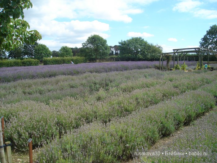 Лавандавая сказка — Советские винтажные куклы (СССР): Ленигрушка