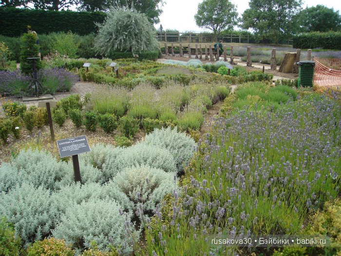 Лавандавая сказка — Советские винтажные куклы (СССР): Ленигрушка