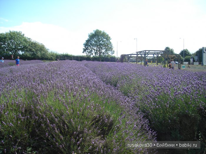 Лавандавая сказка — Советские винтажные куклы (СССР): Ленигрушка