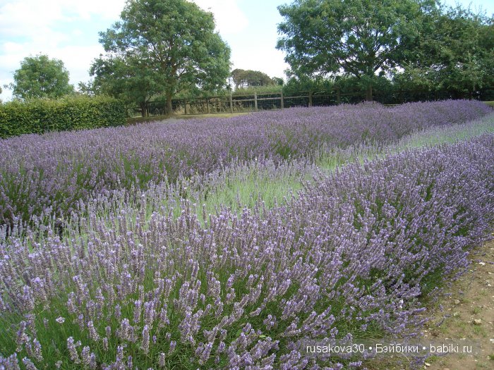 Лавандавая сказка — Советские винтажные куклы (СССР): Ленигрушка