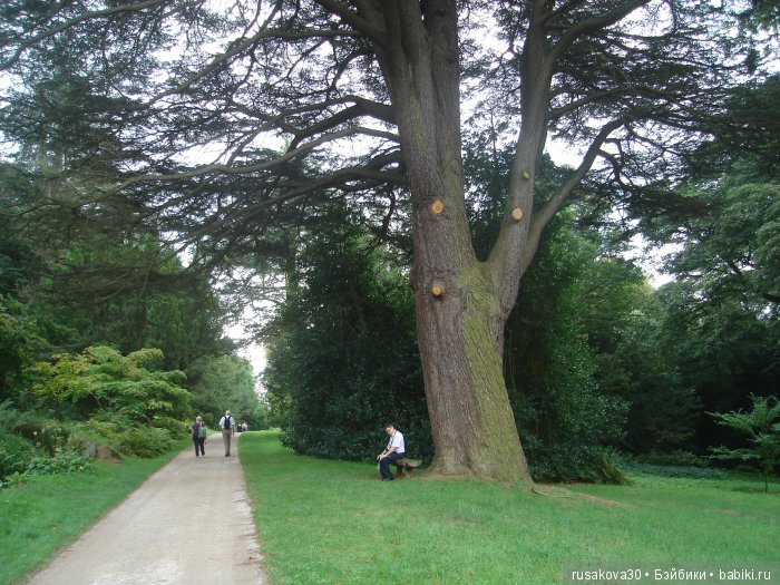 Сад мистера Дарси — Туризм и путешествия: фотоотчеты из поездок