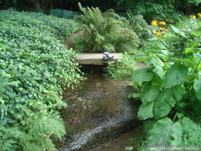 Сад мистера Дарси — Туризм и путешествия: фотоотчеты из поездок