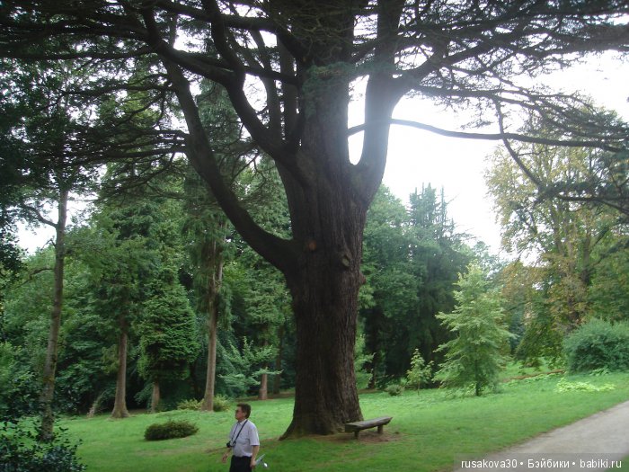 Сад мистера Дарси — Туризм и путешествия: фотоотчеты из поездок