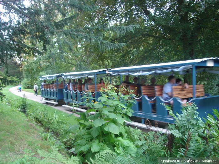 Сад мистера Дарси — Туризм и путешествия: фотоотчеты из поездок