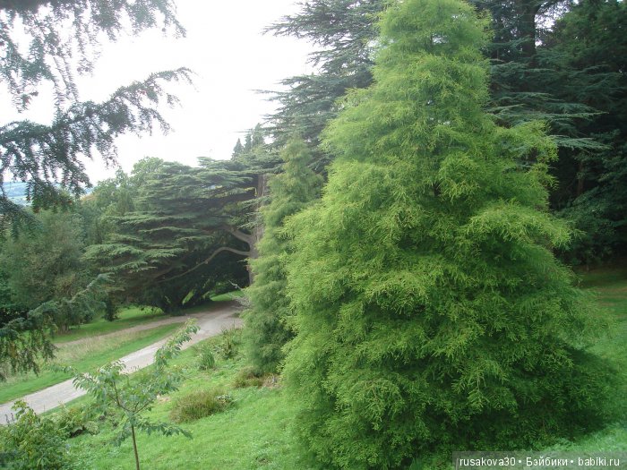 Сад мистера Дарси — Туризм и путешествия: фотоотчеты из поездок
