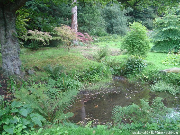 Сад мистера Дарси — Туризм и путешествия: фотоотчеты из поездок