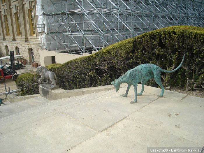 Сад мистера Дарси — Туризм и путешествия: фотоотчеты из поездок (фото 5)