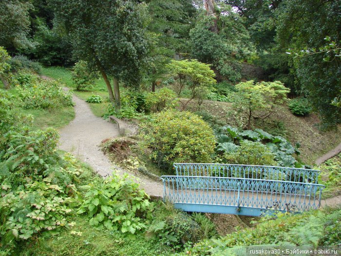 Сад мистера Дарси — Туризм и путешествия: фотоотчеты из поездок