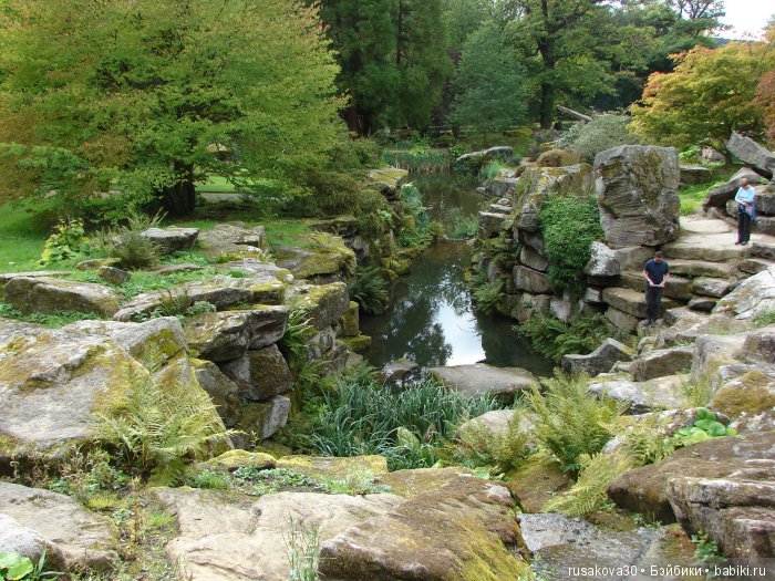 Сад мистера Дарси — Туризм и путешествия: фотоотчеты из поездок