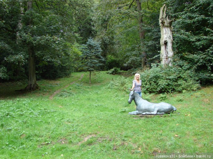 Сад мистера Дарси — Туризм и путешествия: фотоотчеты из поездок