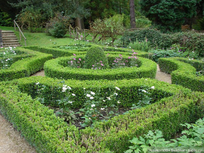 Сад мистера Дарси — Туризм и путешествия: фотоотчеты из поездок