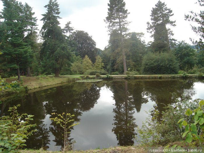 Сад мистера Дарси — Туризм и путешествия: фотоотчеты из поездок