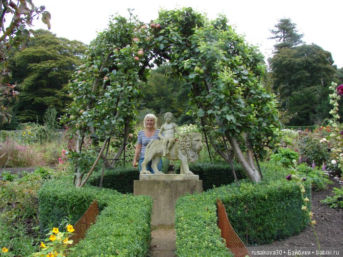 Сад мистера Дарси — Туризм и путешествия: фотоотчеты из поездок