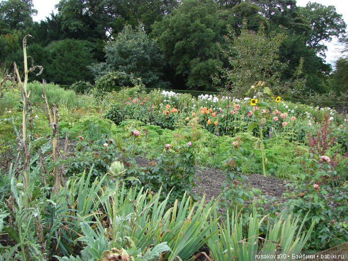 Сад мистера Дарси — Туризм и путешествия: фотоотчеты из поездок