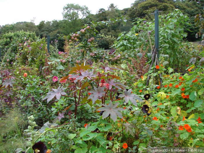 Сад мистера Дарси — Туризм и путешествия: фотоотчеты из поездок