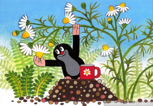 Маленький крот из далекого детства (фото 4)