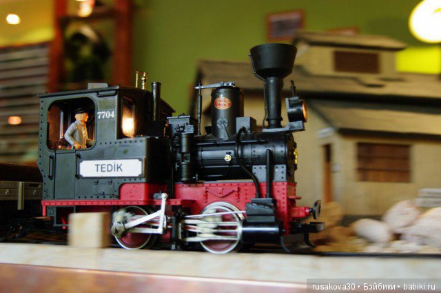 Мы едем,едем,едем в далекие края (фото 4)