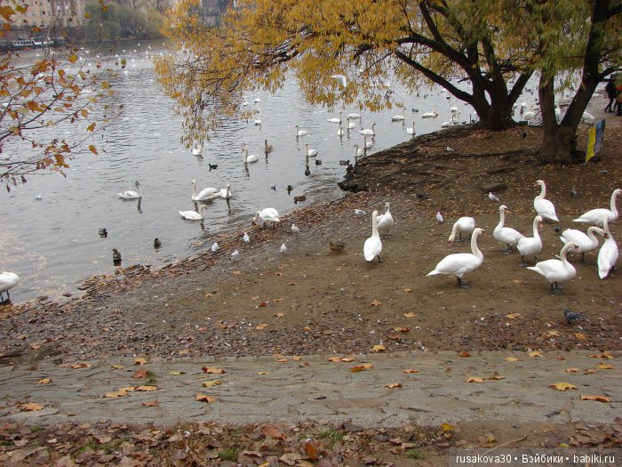 Под небом голубым есть город золотой (фото 4)