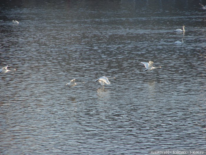 Под небом голубым есть город золотой (фото 2)