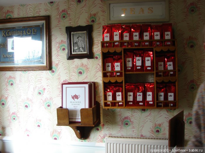 Как маленькие тролли отметили 14 февраля ... труля-ля-ля-ля