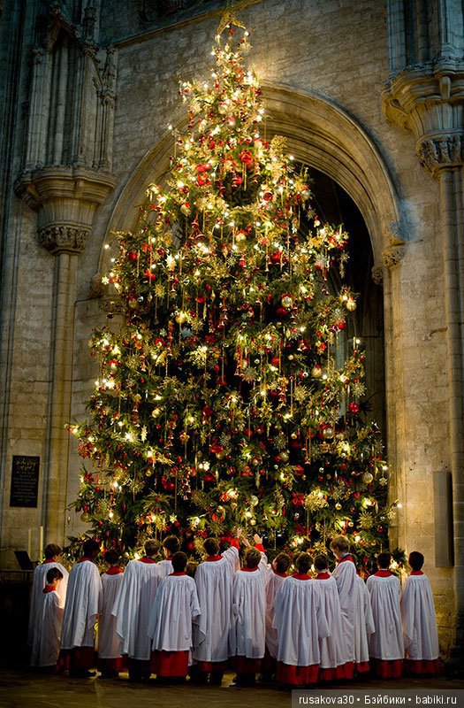 Кафедральный собор Или (Ely)