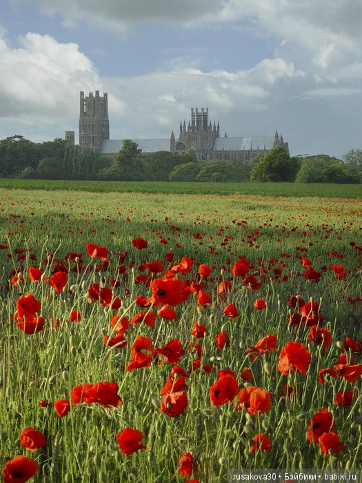 Витражи средних веков. Картины в стекле. Выставка витражей в Ely