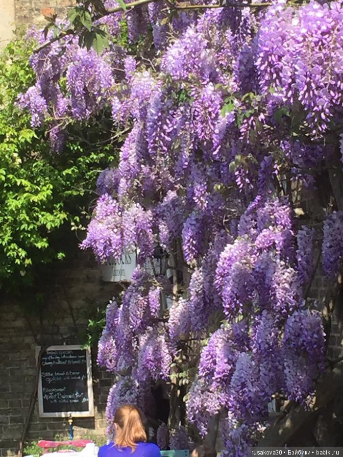 Как маленькие тролли отметили 14 февраля ... труля-ля-ля-ля