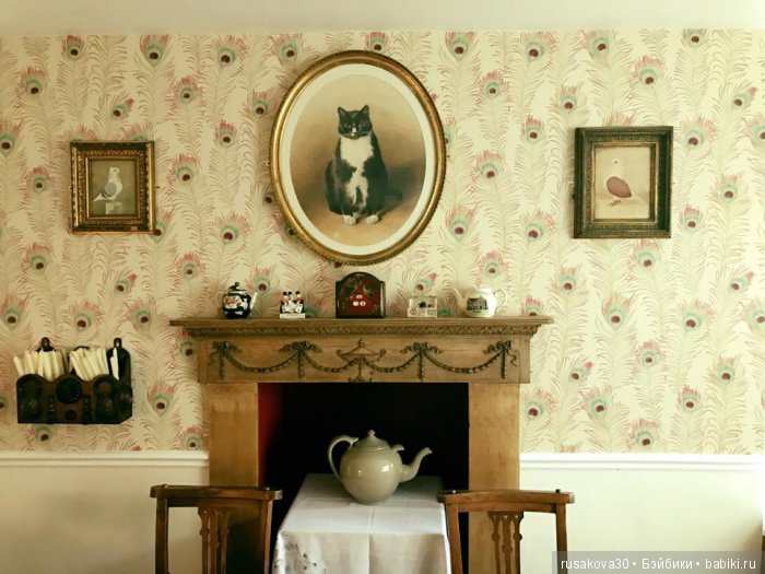 Как маленькие тролли отметили 14 февраля ... труля-ля-ля-ля