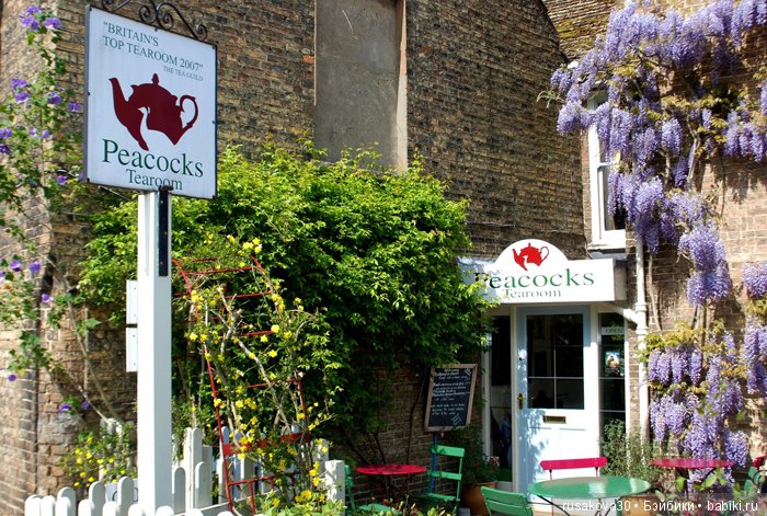 Как маленькие тролли отметили 14 февраля ... труля-ля-ля-ля