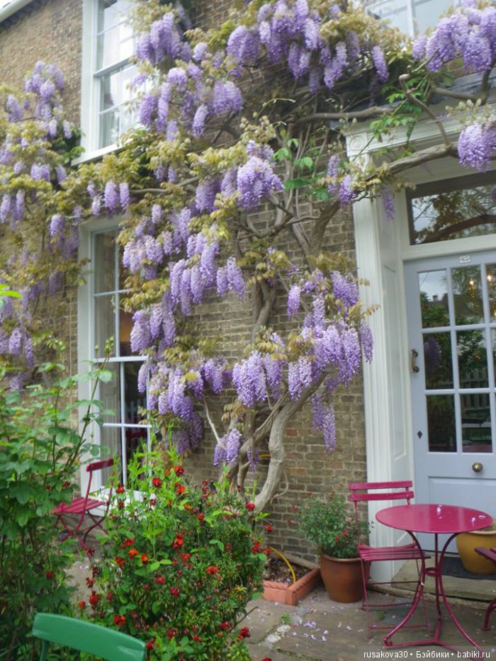 Как маленькие тролли отметили 14 февраля ... труля-ля-ля-ля