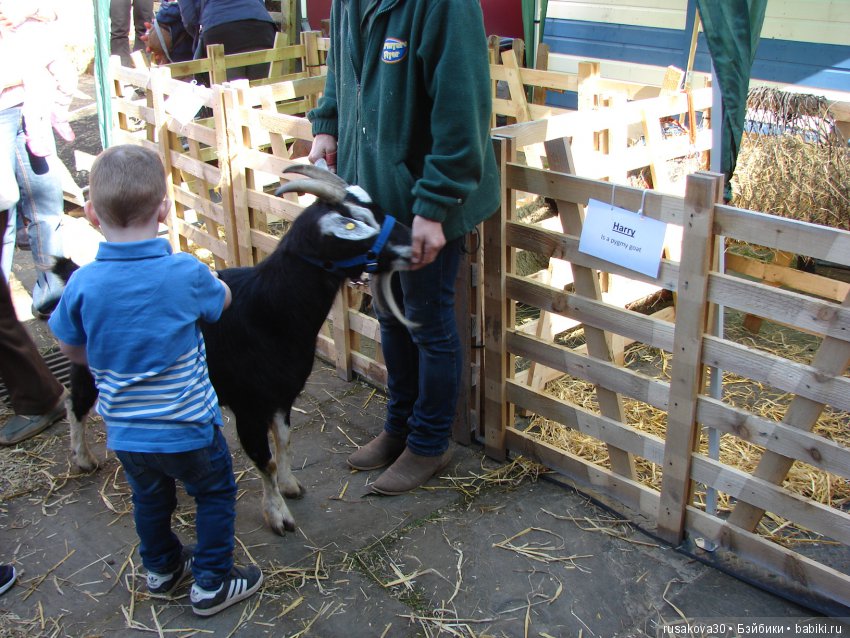 Викторианская эпоха в Англии