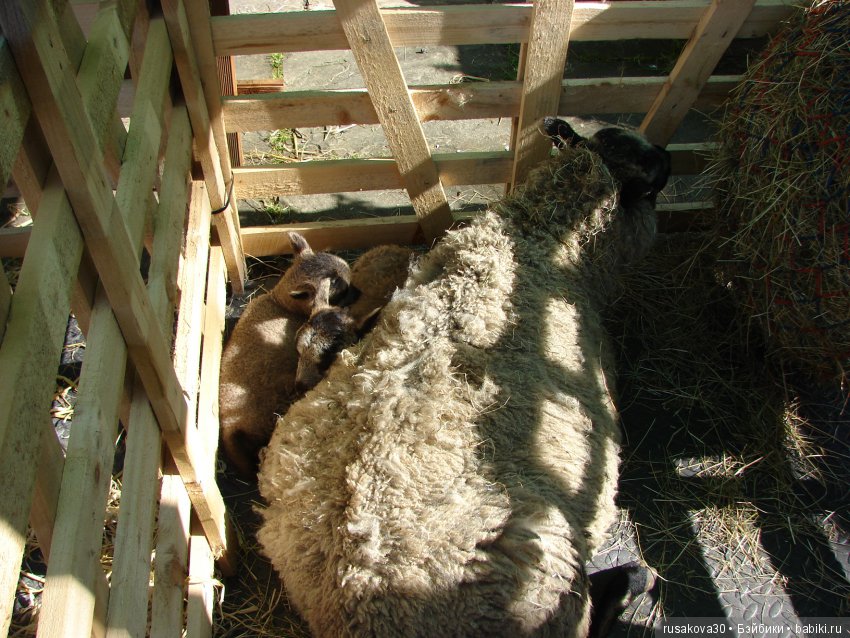 Викторианская эпоха в Англии