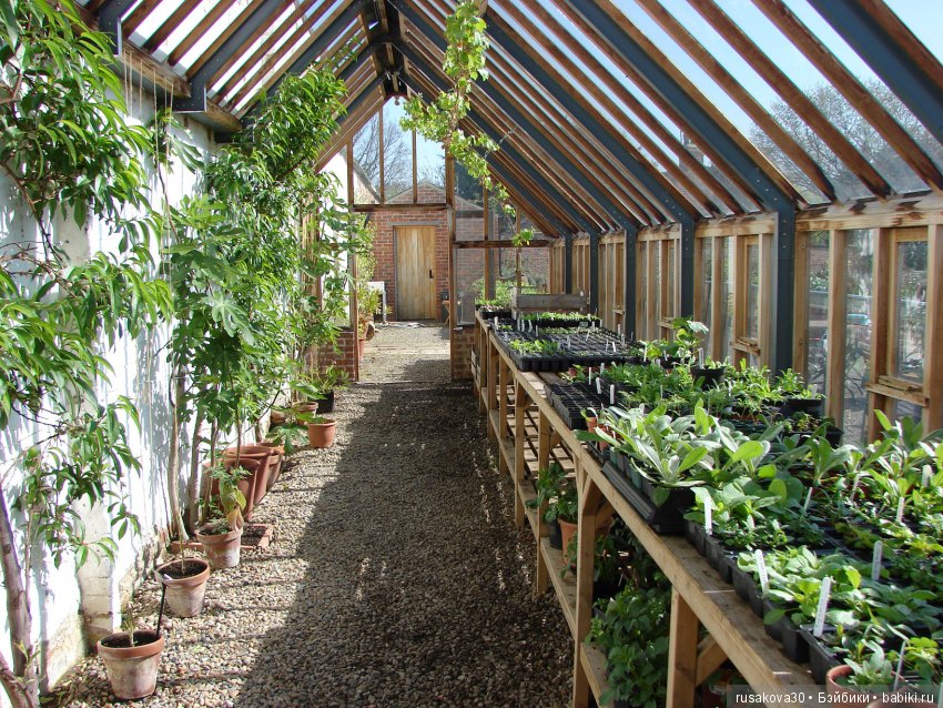 Викторианская эпоха в Англии, продолжение (фото 8)