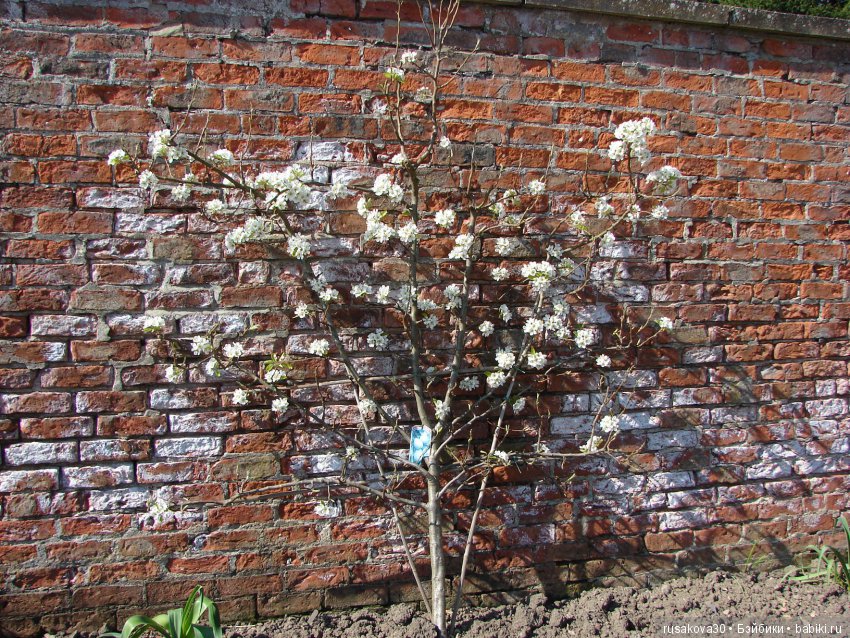 Викторианская эпоха в Англии, продолжение