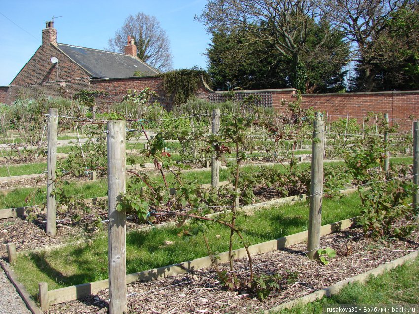 Викторианская эпоха в Англии, продолжение