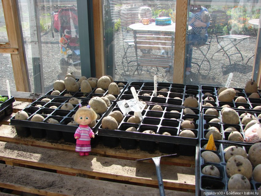 Викторианская эпоха в Англии, продолжение