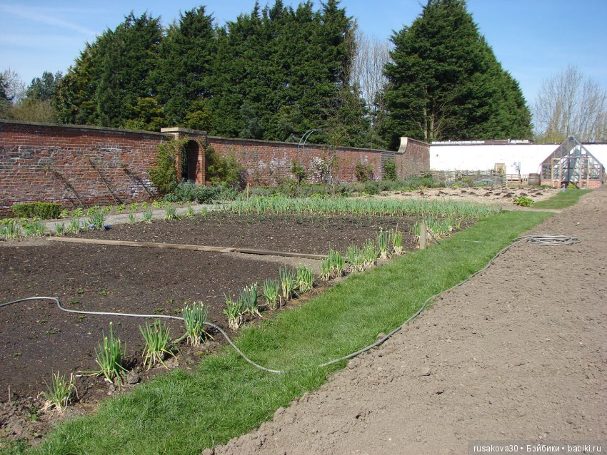 Викторианская эпоха в Англии, продолжение