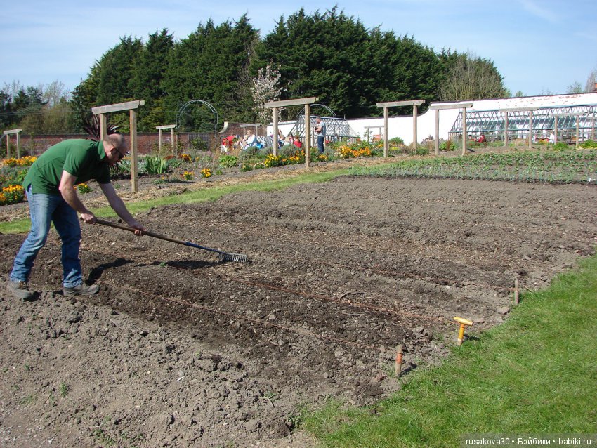 Викторианская эпоха в Англии, продолжение
