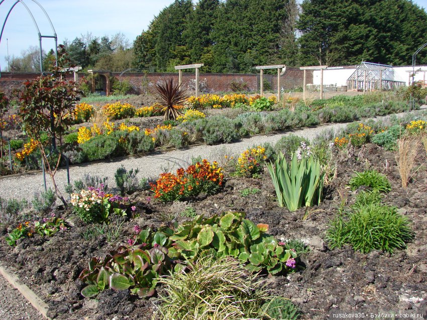 Викторианская эпоха в Англии, продолжение (фото 7)