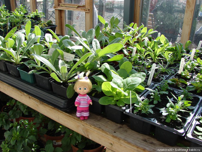 Викторианская эпоха в Англии, продолжение