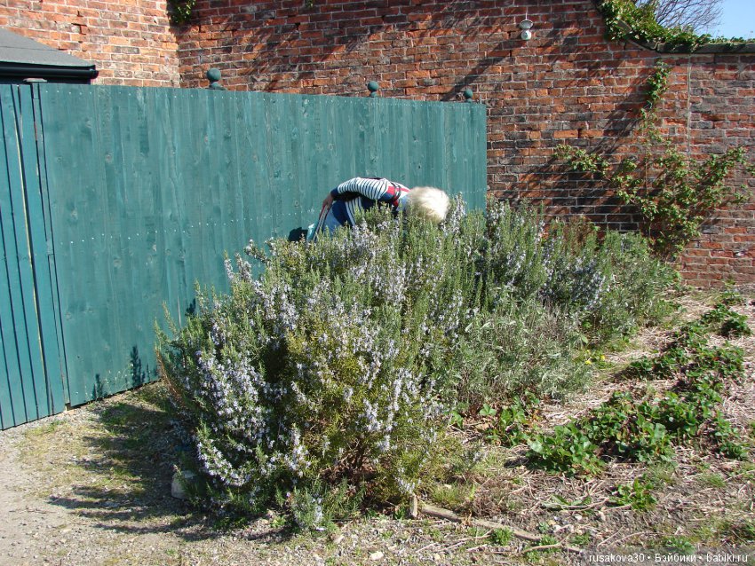 Викторианская эпоха в Англии, продолжение