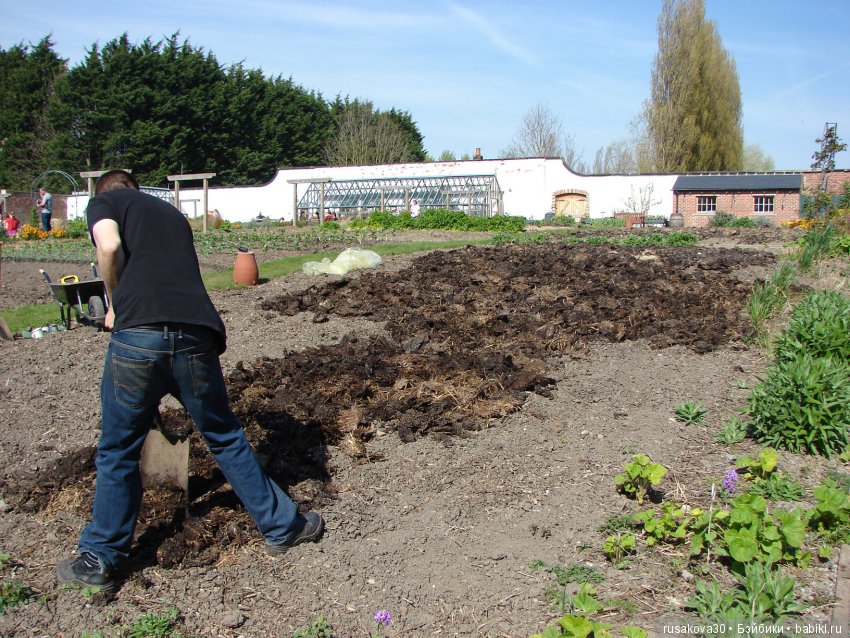 Викторианская эпоха в Англии, продолжение