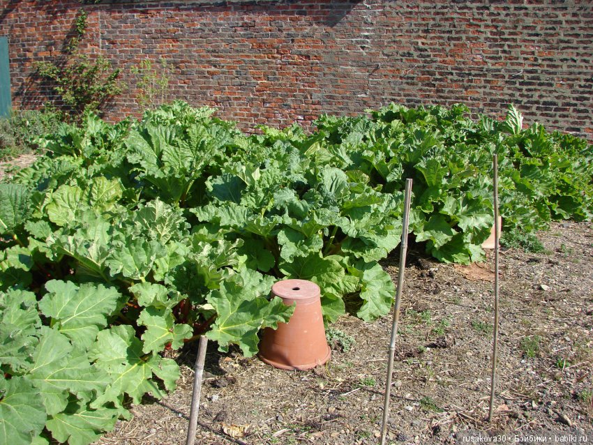 Викторианская эпоха в Англии, продолжение