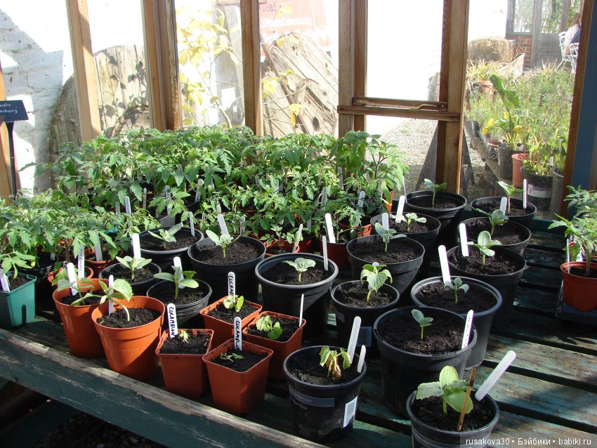 Викторианская эпоха в Англии, продолжение (фото 9)