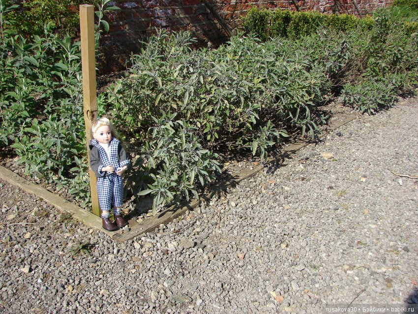 Джолина-балерина путешествует (фото 8)